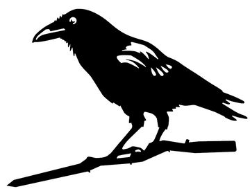 Mini Crow